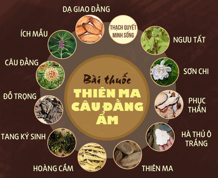 7. Những Lưu Ý Khi Sử Dụng