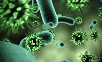 Bảo vệ trẻ trước bệnh Sởi