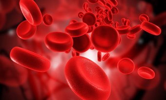 Bệnh Thalassemia – hiểu biết, phòng tránh và điều trị