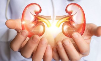 NGÀY SỨC KHỎE THẬN THẾ GIỚI