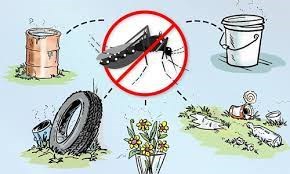 PHÒNG CHỐNG BỆNH SỐT XUẤT HUYẾT