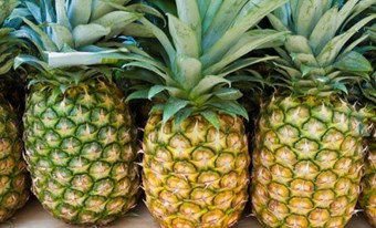 Bài thuốc trị sỏi niệu do thấp nhiệt