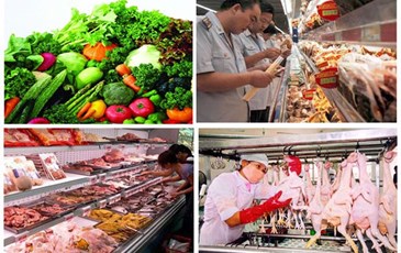 Bộ Y tế bãi bỏ 28 thủ tục hành chính lĩnh vực an toàn thực phẩm và dinh dưỡng