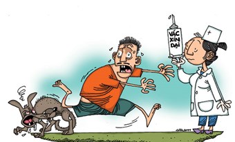 Khuyến cáo Phòng chống bệnh Dại