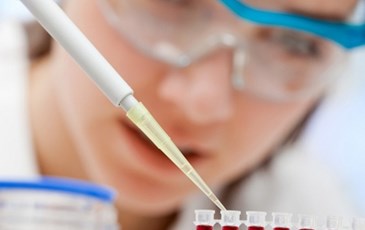 Nuôi cấy thận thành công từ tế bào gốc