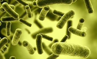 Vi khuẩn kháng kháng sinh sẽ giết khoảng 10 triệu người mỗi năm