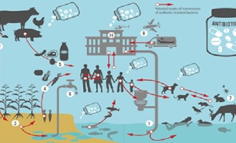 7 BIỆN PHÁP HÀNH ĐỘNG ĐỂ NGĂN CHẶN VI KHUẨN KHÁNG THUỐC